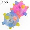 2PCS Pet Ball Toy Music Creative Flashing Dancing Dog Ball Glowing Fun Jumping Balls Pet Dog Interactive Balls Pet Toy Supplies-knewpets