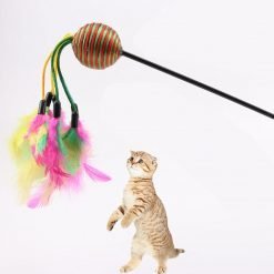 3PCS Creative Funny Cat Feather Toy Colorful Feather Ball Cat Teaser Toy Cat Interactive Toy Color Random 2019 New Arrive-knewpets