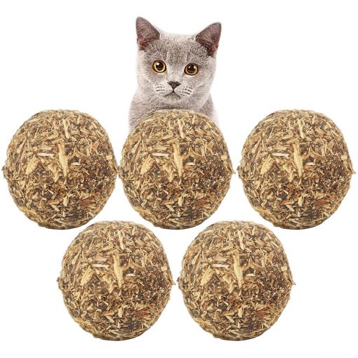 5PCS Cat Catnip Natural Compressed Catnip Ball Cat Treats Cat Toy For Cat Kitten 2019 New Arrive-knewpets