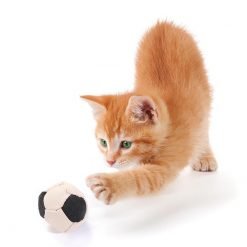 6pcs Bite Resistant Pet Ball Toys Set Creative Canvas Football Shape Cat Ball Toy Cat Play Toy Pet Supplies Cat Favors-knewpets