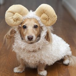 Pet Costume Set Cotton Lovely Goat Shape Dog Apparel Pet Apparel Cat Dog Party Dress Up Pet Supplies-knewpets
